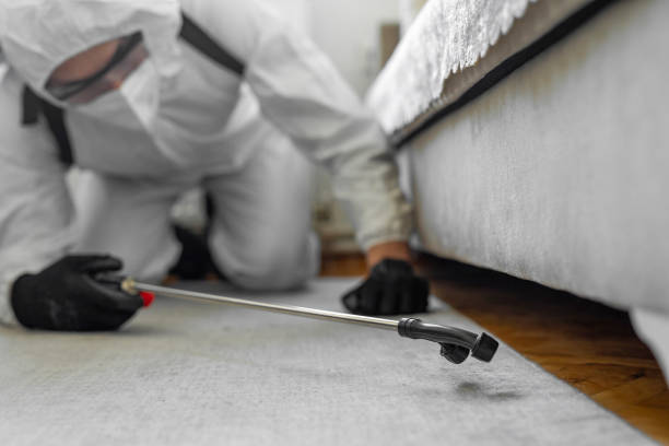Professional Termite Control technician working in Lincoln County County, ME